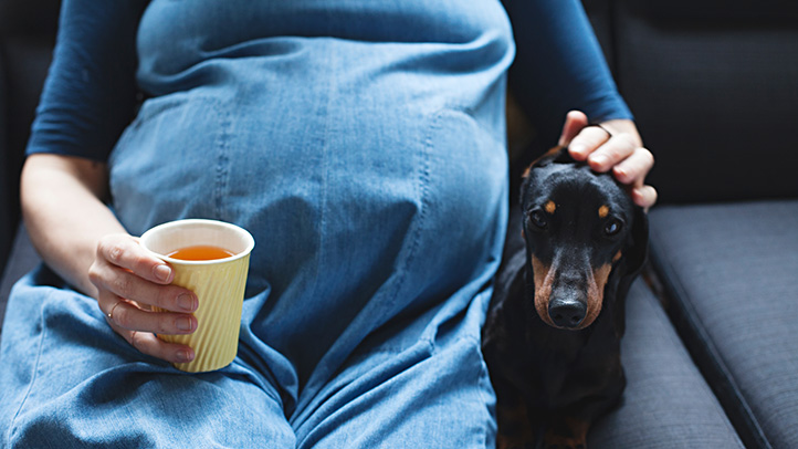 Síndrome del intestino irritable (SII) durante el embarazo: síntomas y tratamiento