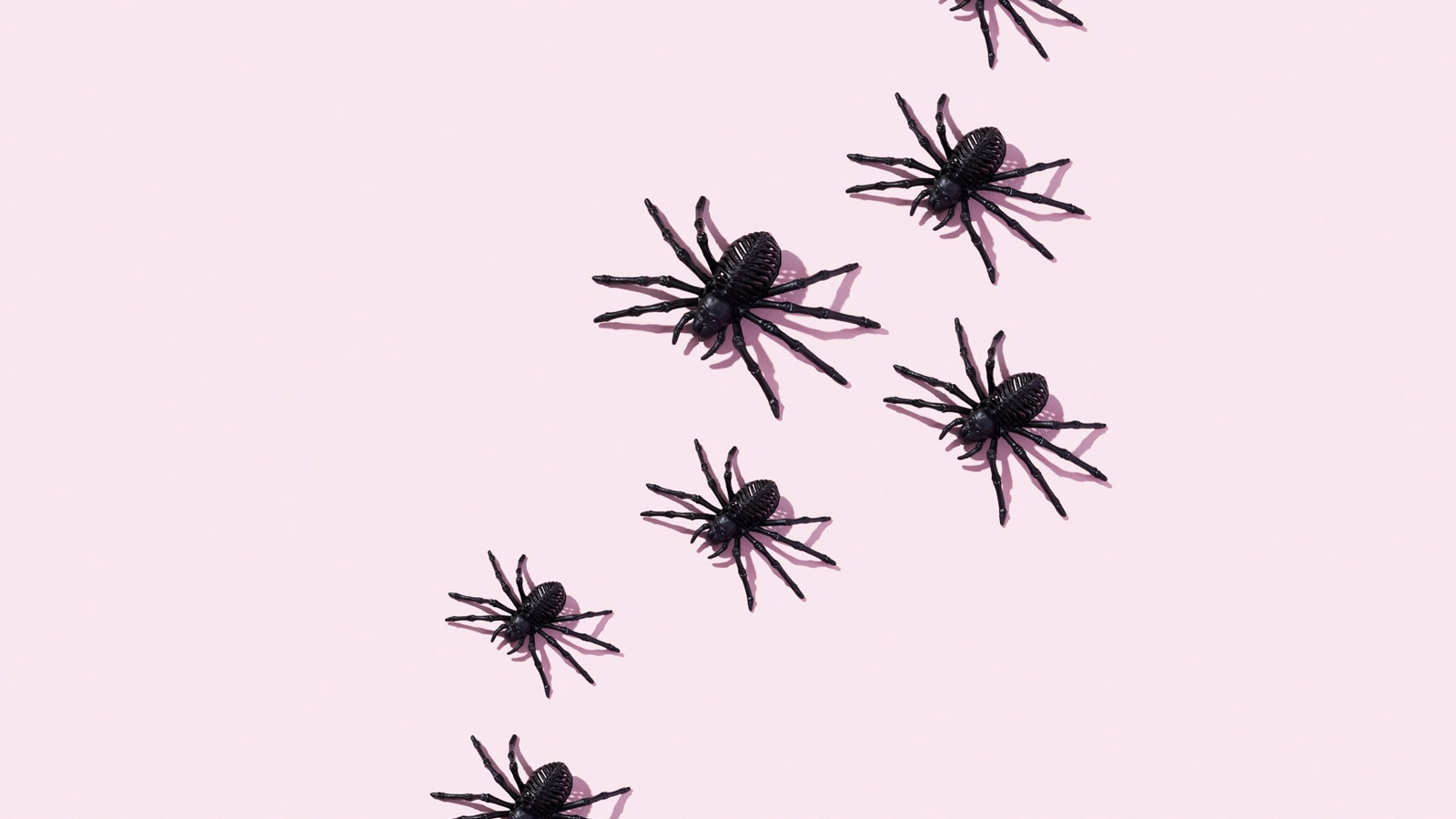What is Implantation Bleeding and When Does It Occur?